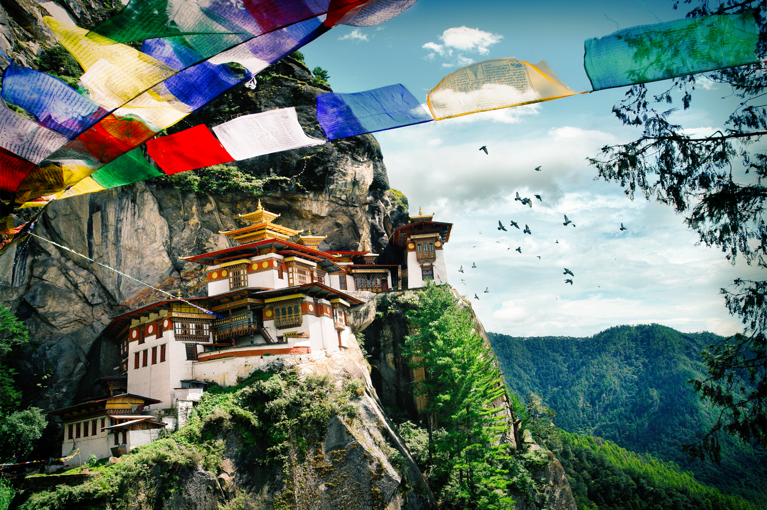 The Mahayana Ritual