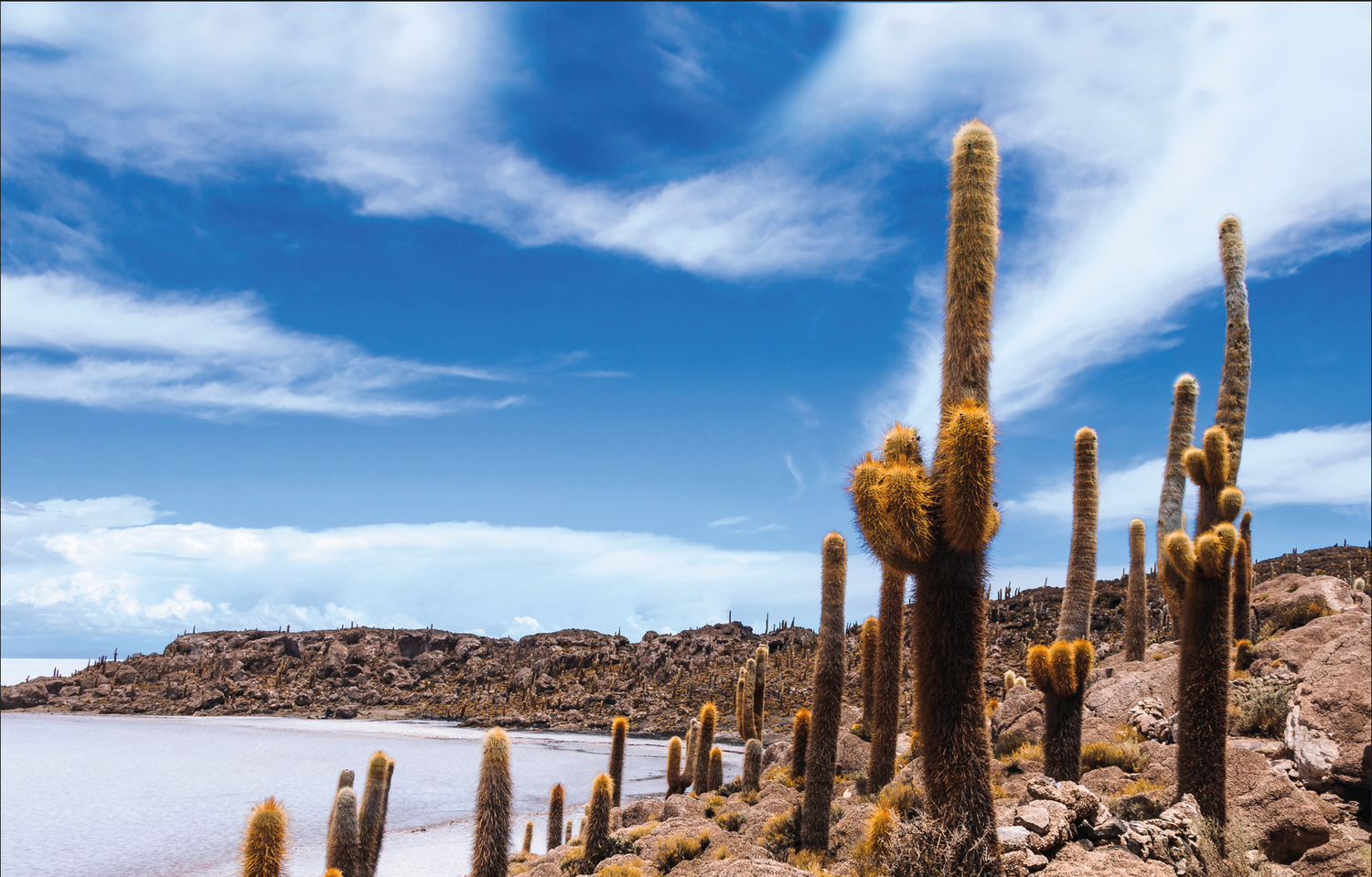 The Uyuni Balance